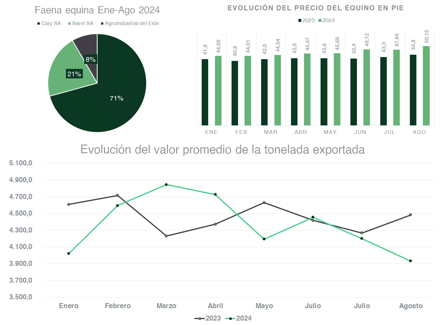 Indicadores del equino caen en los primeros ochos meses del 2024