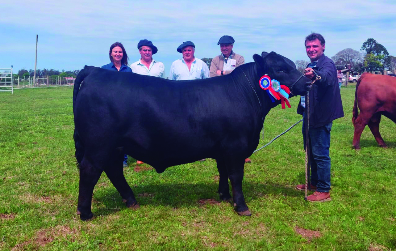 Bayucuá y La Magdalena exhiben los mejores Angus en la Expo Salto