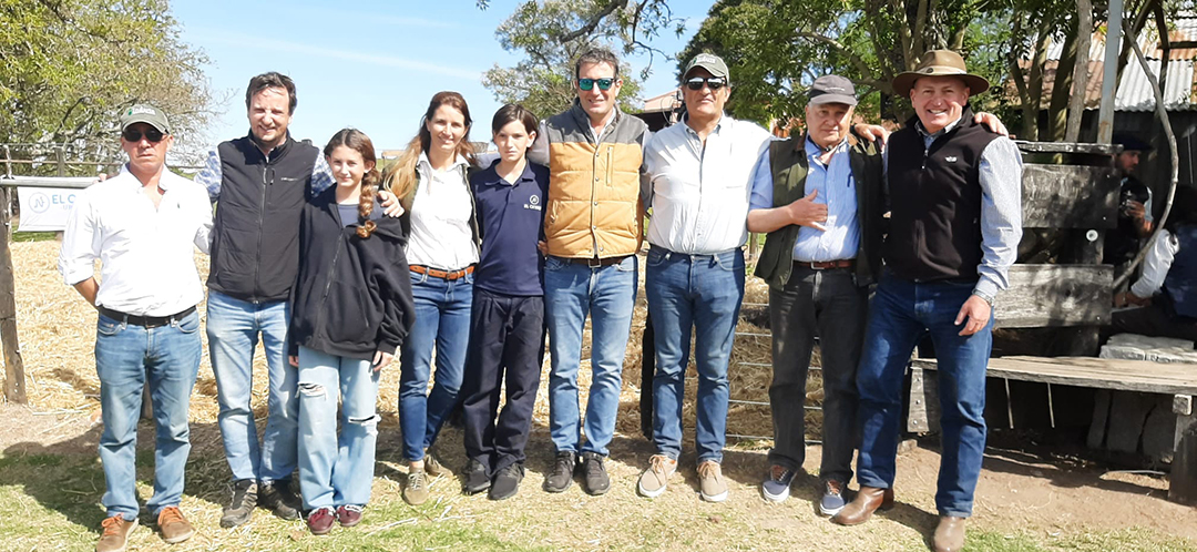 Ventas totales de los colorados de «El Cerro»