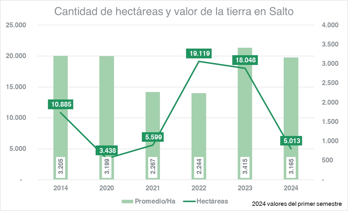 Compraventa de tierras sumó 183 mil hectáreas en el primer semestre