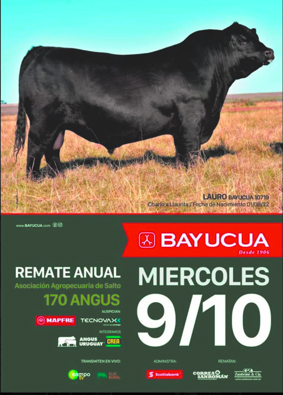 Hoy remata Bayucuá en la Agropecuaria de Salto