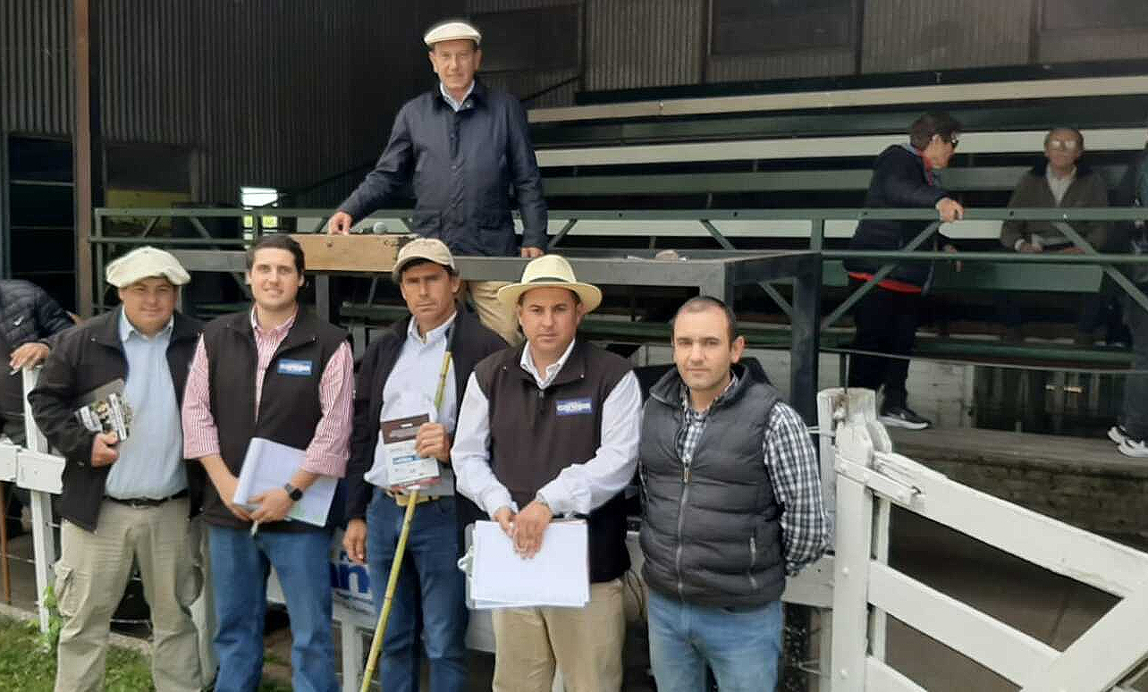 Hoy se venden los Polled Hereford de «El Trébol» en Guichón