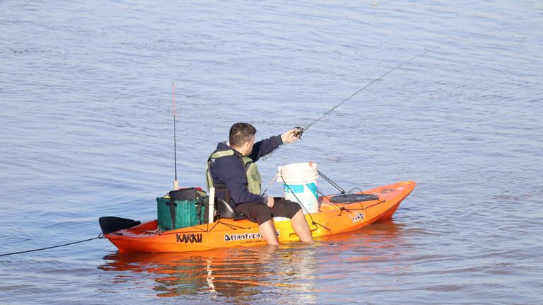 Anuncian edición de pesca de la boga entre Salto-Concordia