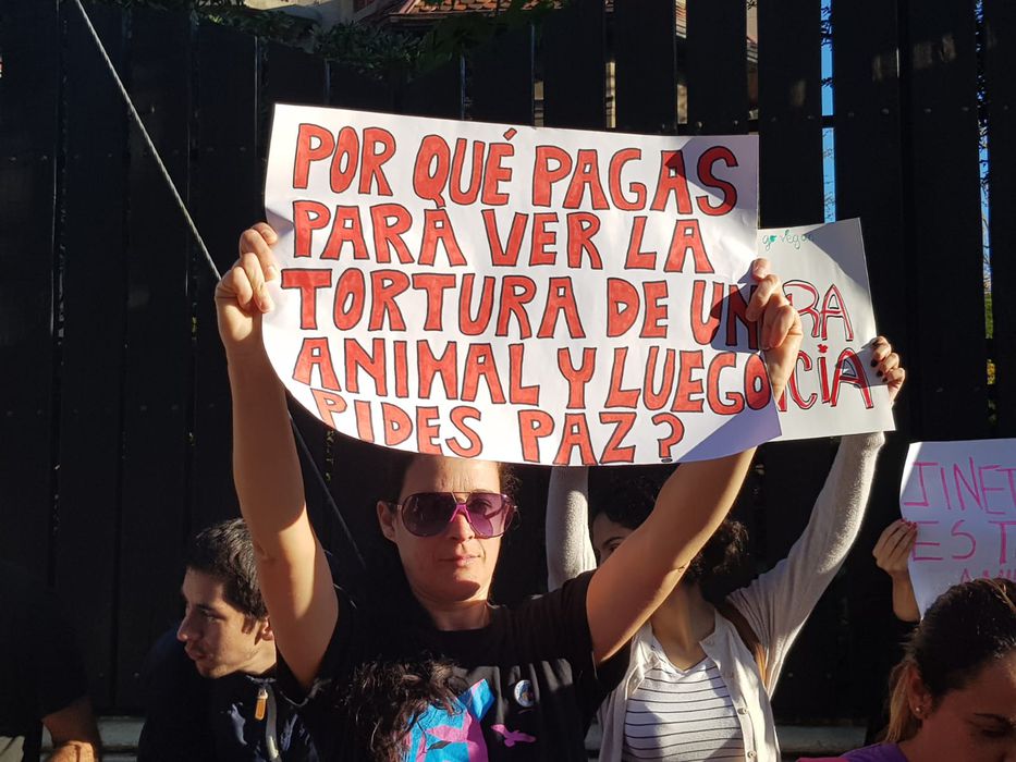 Animalistas lanzarán iniciativa  para la prohibición de jineteadas