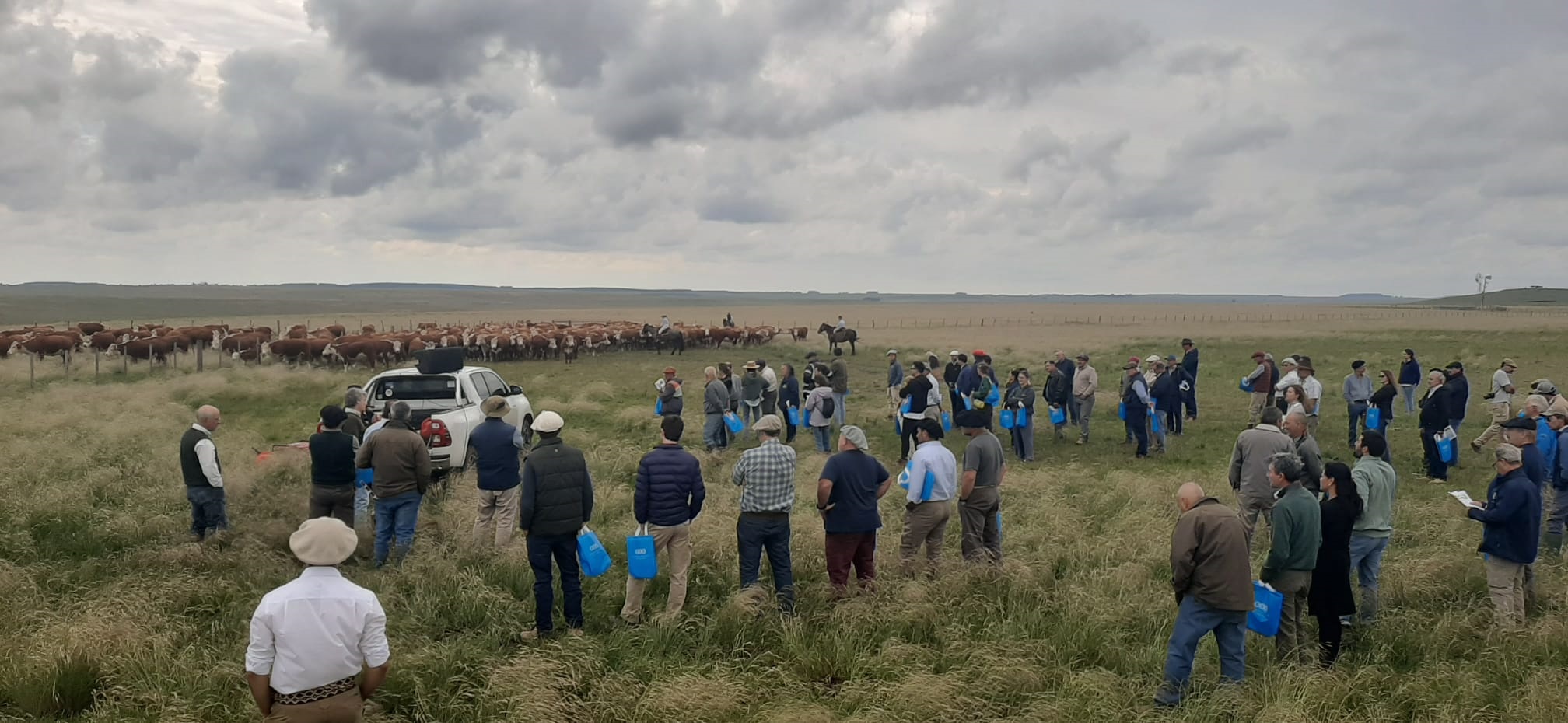 El proyecto Gestión del Pasto: una herramienta clave para enfrentar los efectos de la sequía