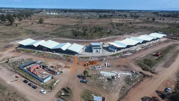 Representante de Salto Hortícola no ve sencillo que en marzo se inaugure la Central Hortícola del Norte