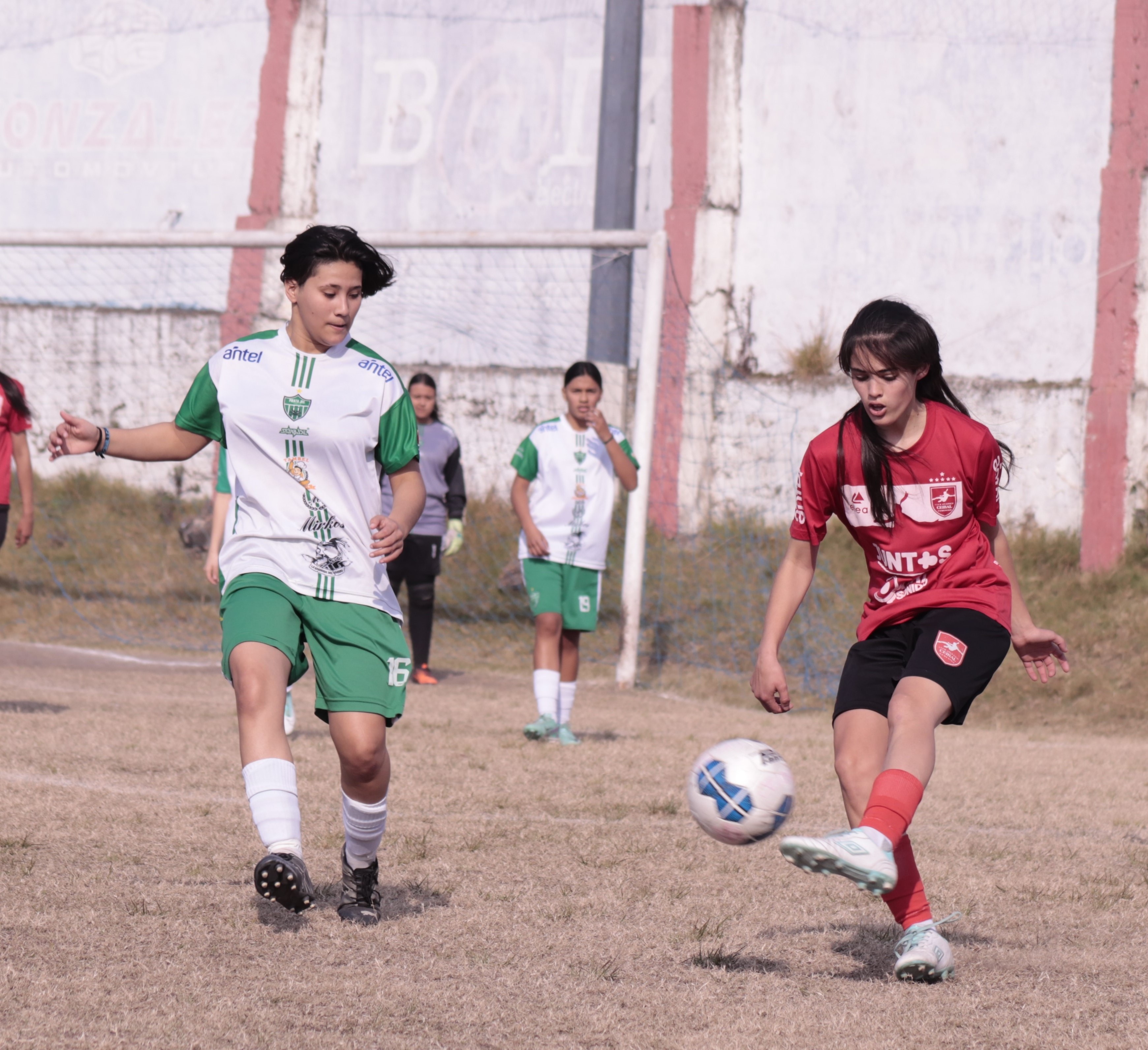 Consejo Femenino planteó la suma de categorías juveniles