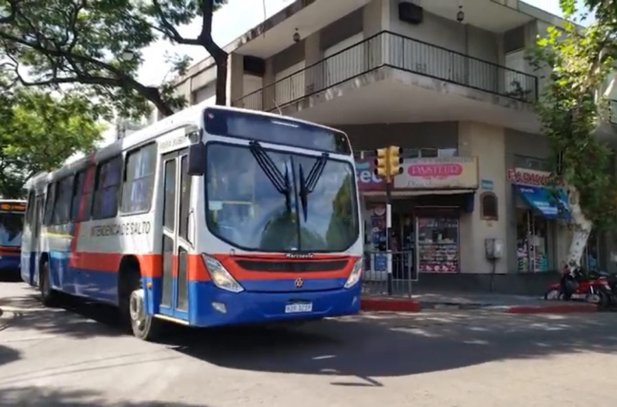 Usuarios del ómnibus plantean  se retome servicio los domingos