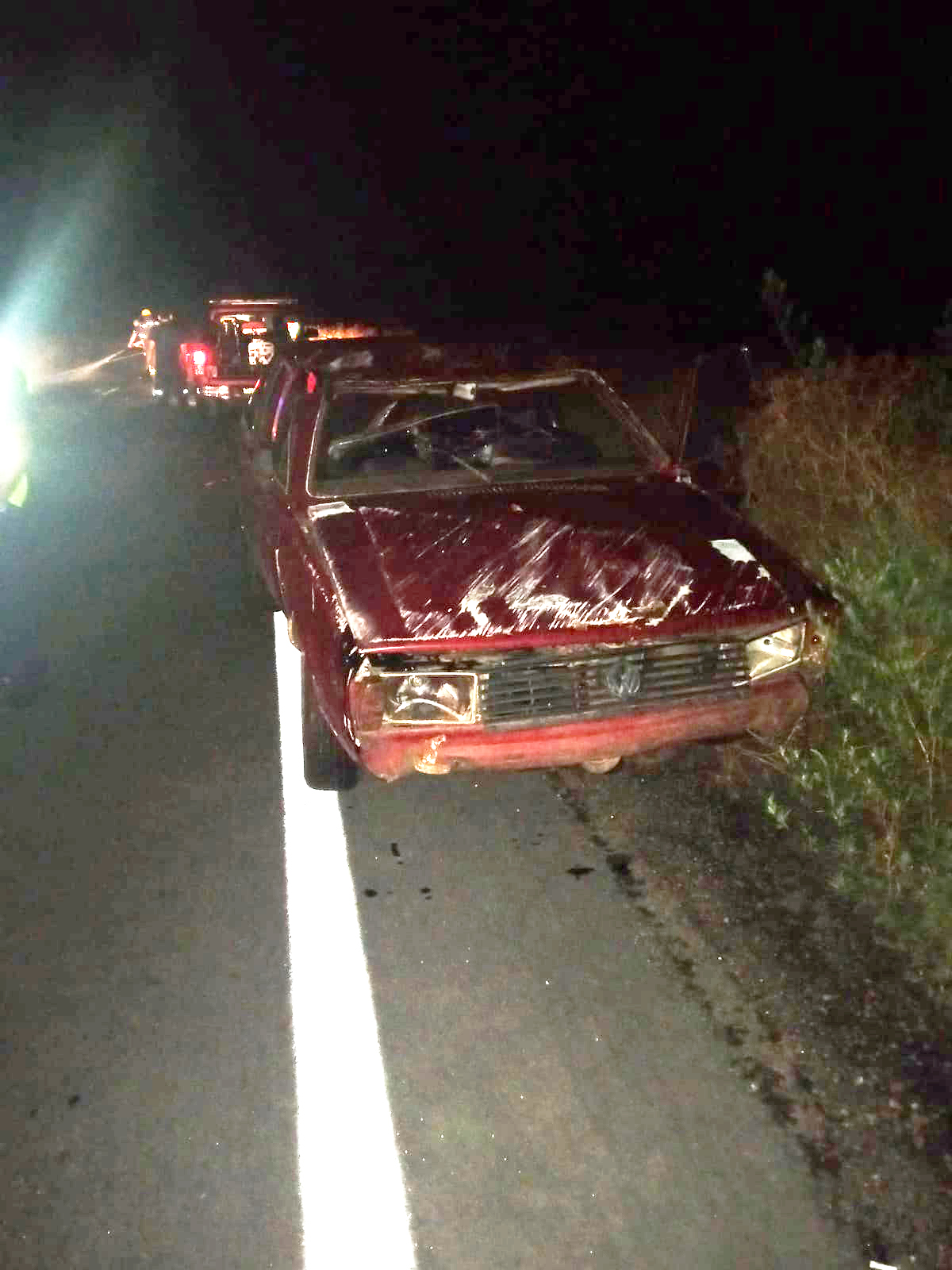 Siniestro fatal: una mujer fallecida tras chocar con tropilla de caballos en la ruta