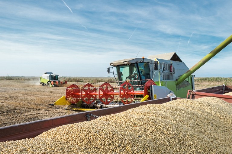 Hay más de 186 mil toneladas de colza y soja en stock