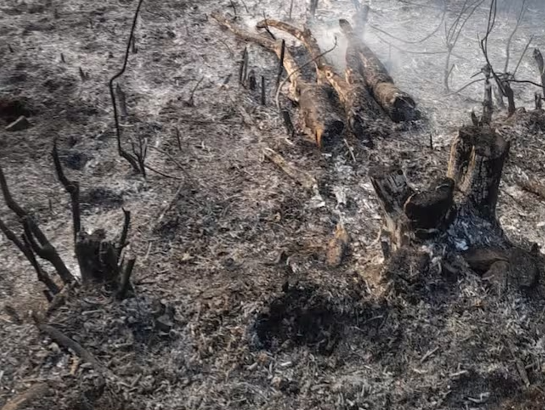 Unas 4 mil hectáreas afectadas  por el incendio cerca de Arapey