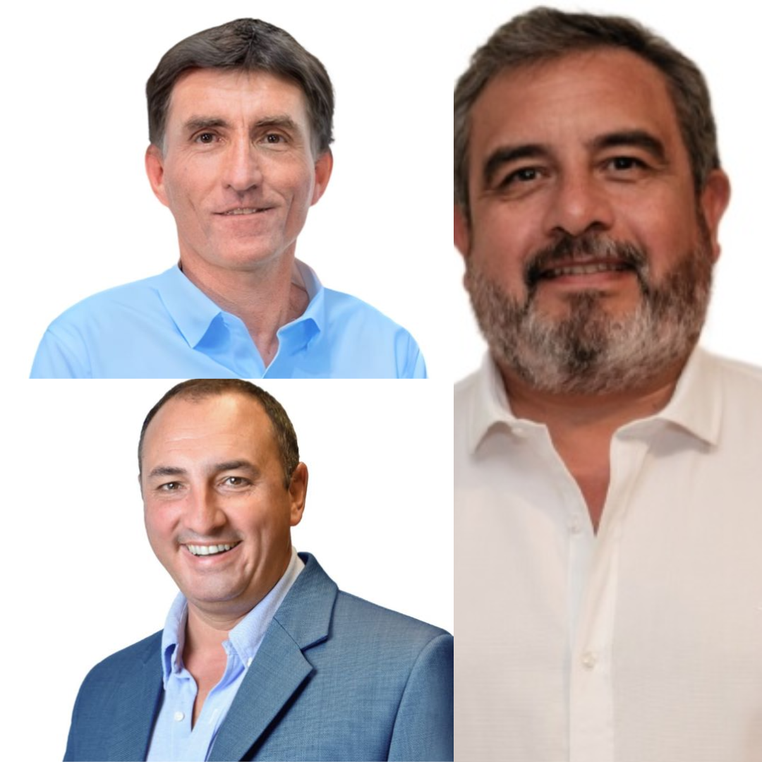 Álvaro Lima, Carlos Albisu y Horacio De Brum asumen hoy como diputados