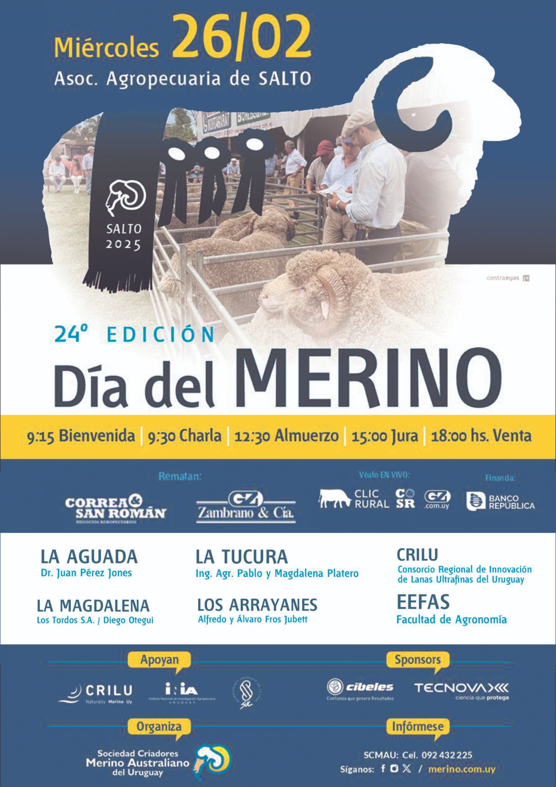 Dia del Merino