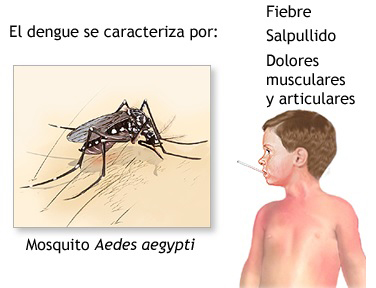 MSP confirmó el primer caso de dengue importado