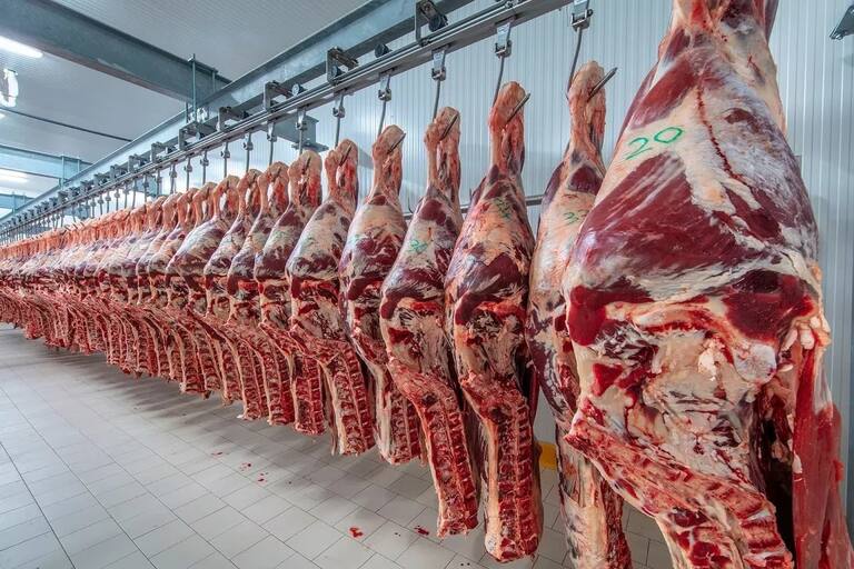 La carne bovina fue la protagonista de las exportaciones