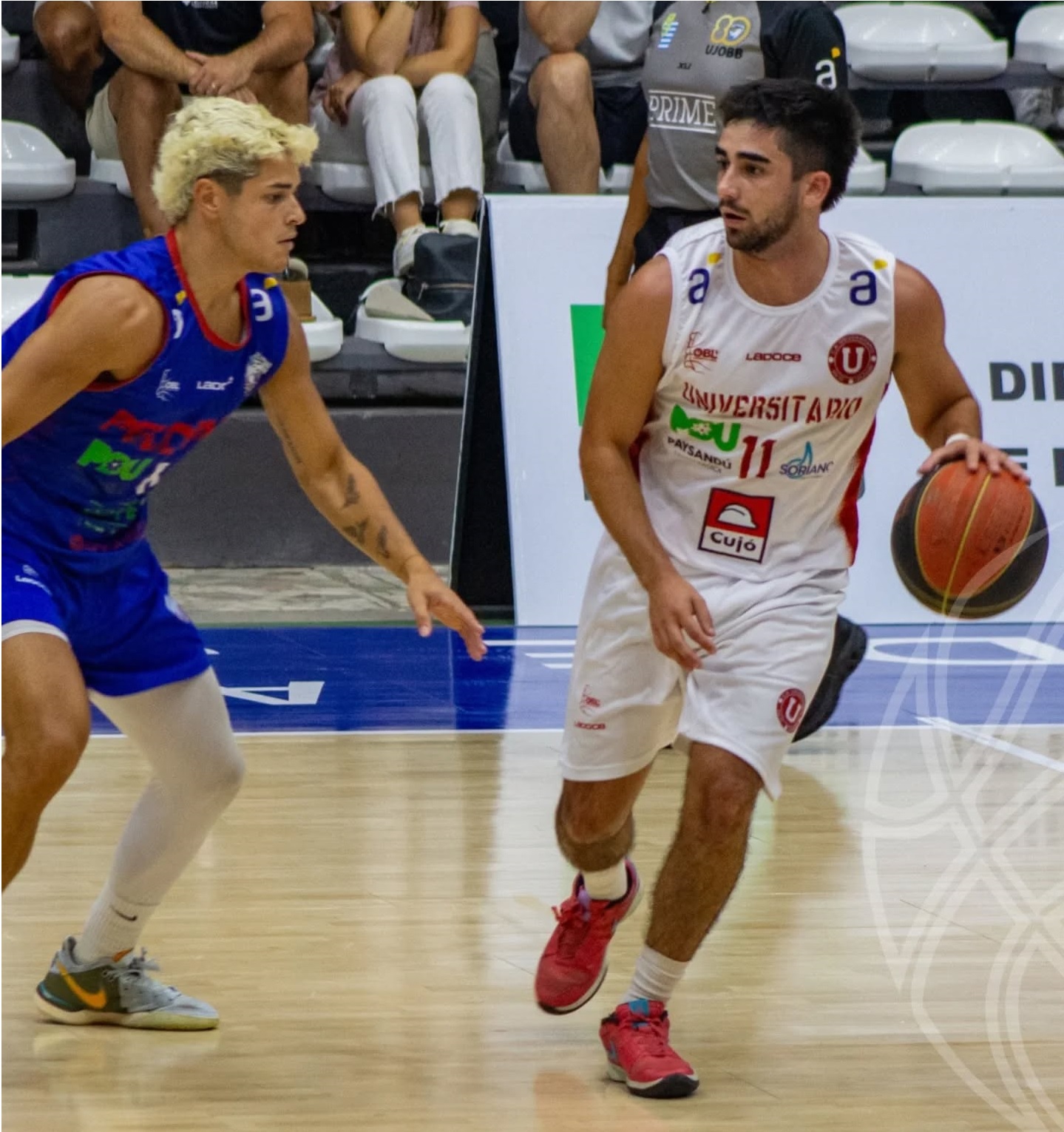 OBL: Universitario recibe a Pelotaris esta noche buscando estirar la serie