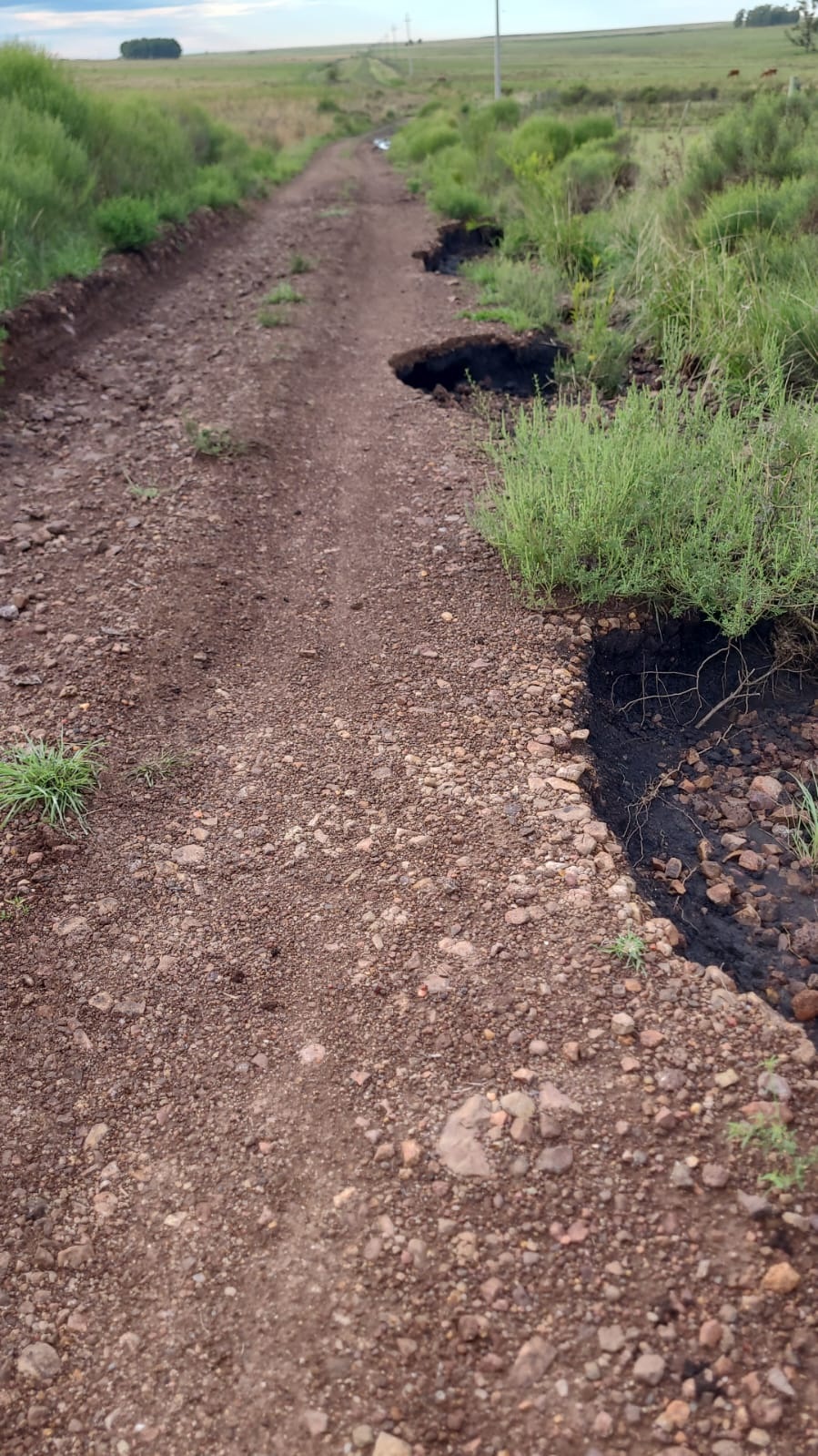 Vecinos denuncian abandono de caminos rurales y falta de respuestas de jerarcas de la intendencia