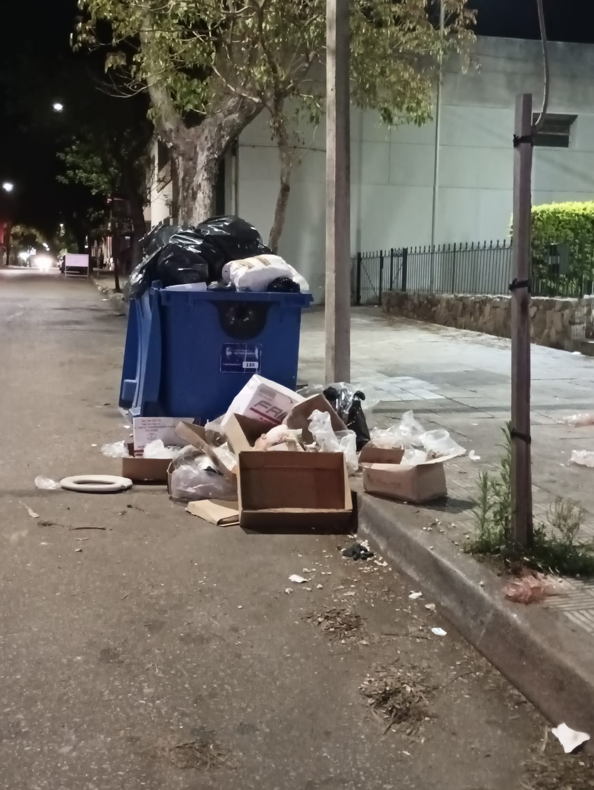 Latidos: Quema de hojas y más…