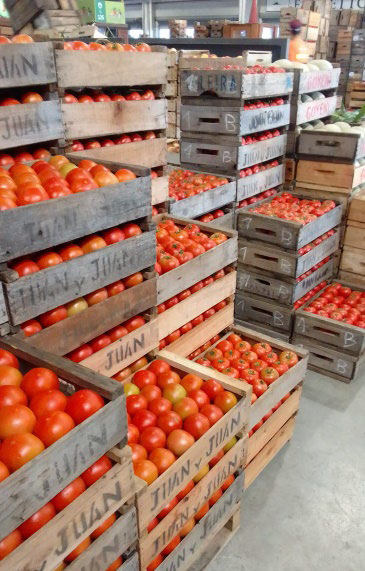 El calor dispara el precio del tomate, pero la demanda se moderó al final de la semana