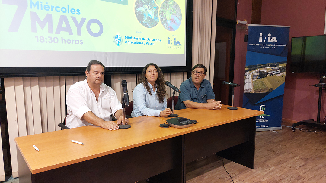 El HLB está contenido en Artigas y se retomarán los monitoreos con un FPTA