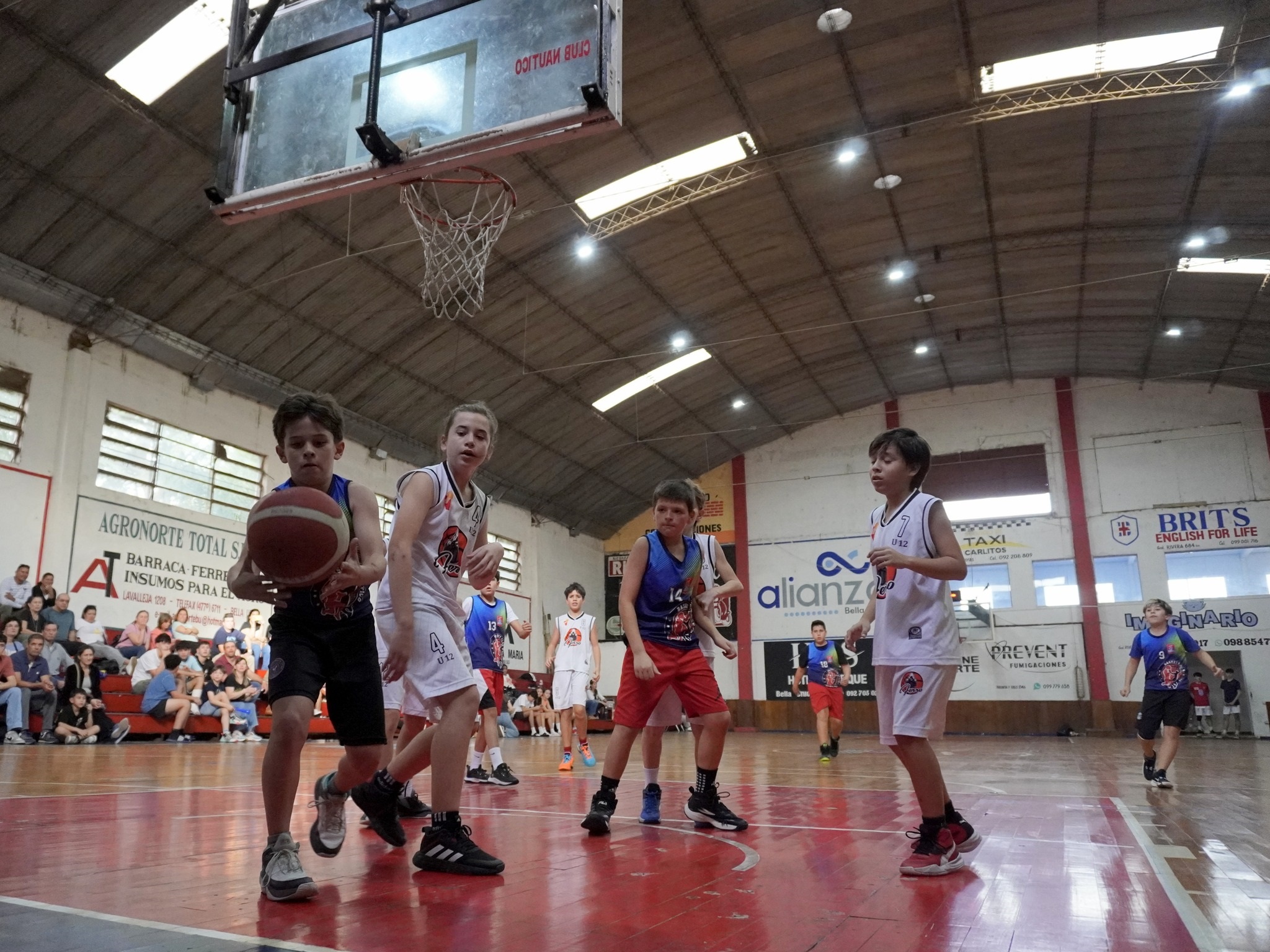Salto inicial a la octava fecha de las formativas del básquetbol salteño