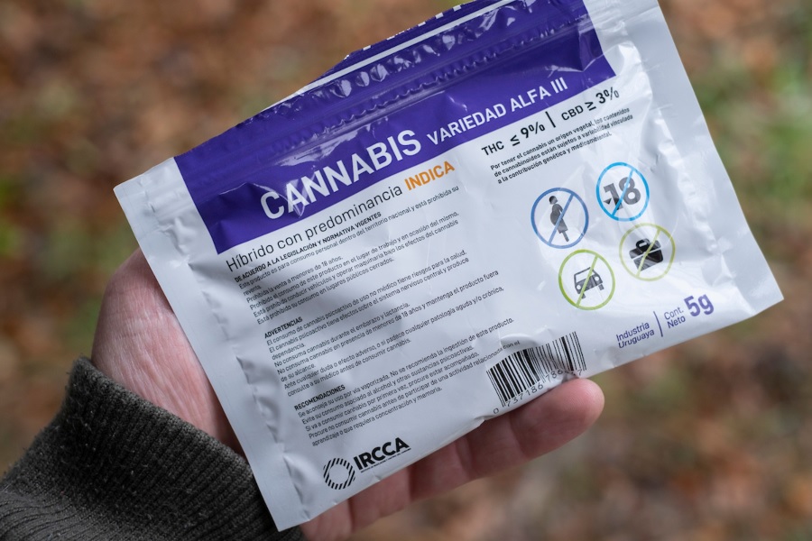 Mercado de cannabis: se sumarán 4 empresas y producción se duplicará