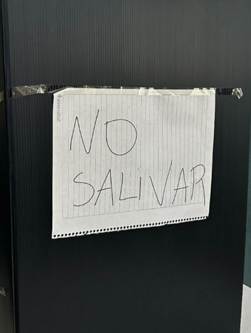 Latidos