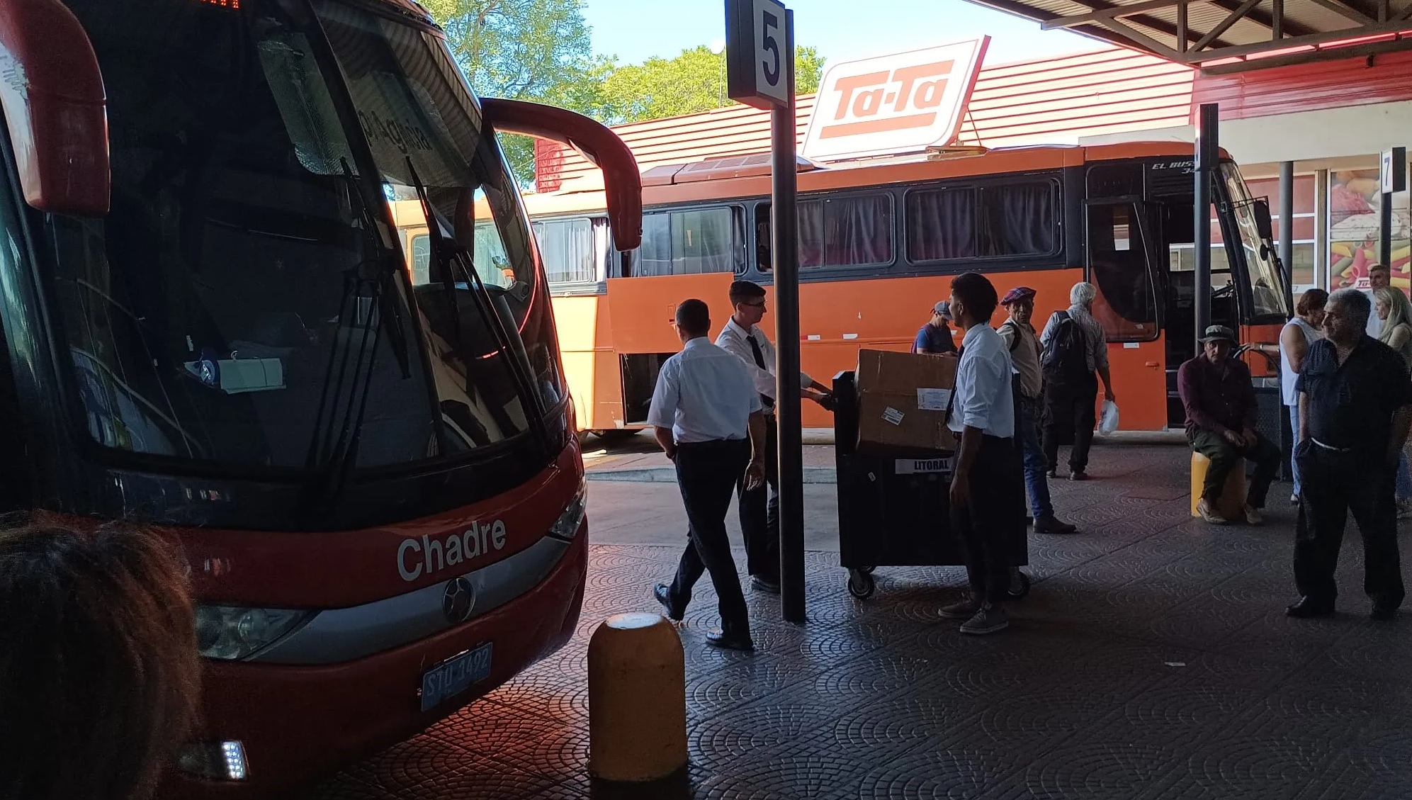 Empresas duplican sus unidades por traslados a Salto debido a elecciones