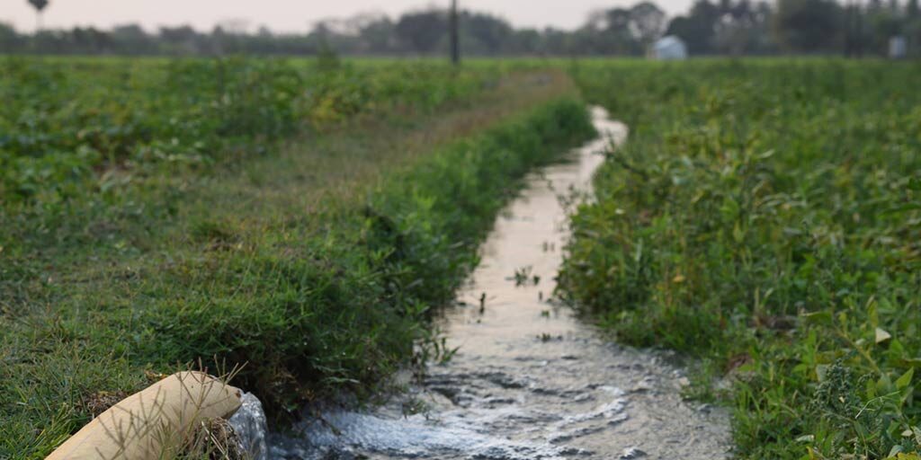 Productores de semillas refuerzan control ambiental sobre manejo de efluentes