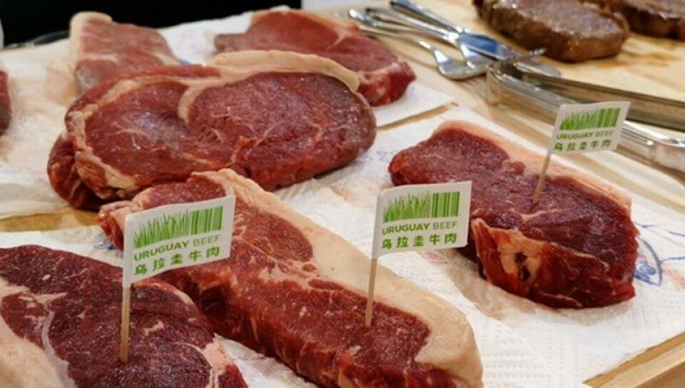 Valor de la tonelada de carne vacuna alcanza su mayor valor desde 2022