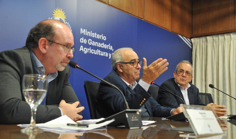 Uruguay habilitó el ingreso de harinas de colza y soja a China