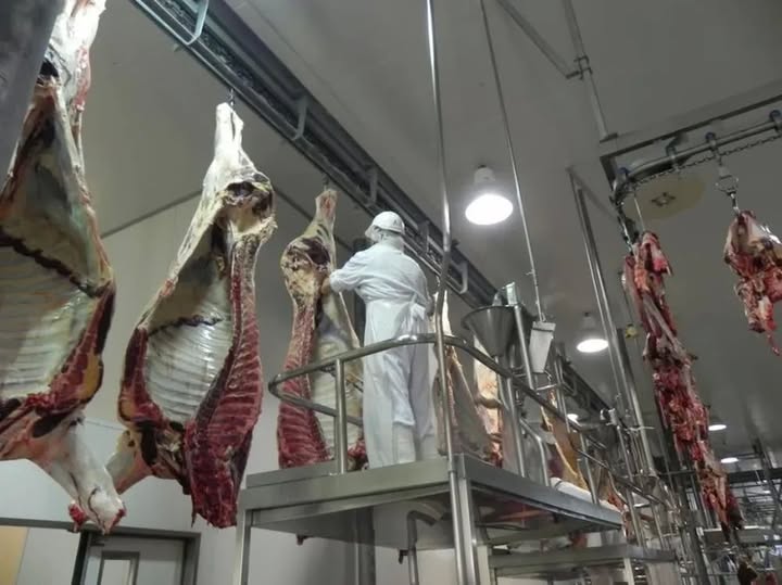 Operario de frigorífico perdió la vida e investigan que fue lo que le ocurrió