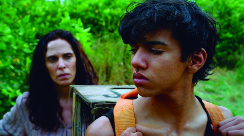 Proyecta la película  “Siempre vuelven”
