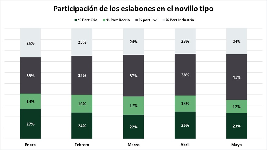 En mayo, creció la participación de los últimos eslabones de la cadena en el Novillo Tipo
