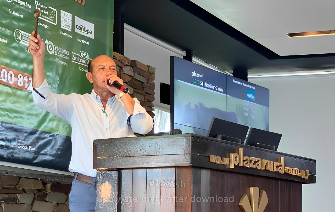 Escritorio Rubén F. Cánepa con «una mercadería de lujo» en el remate 306 de Plaza Rural