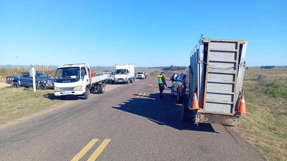 Operativo Norte Seguro intercepta varias mercaderías de contrabando
