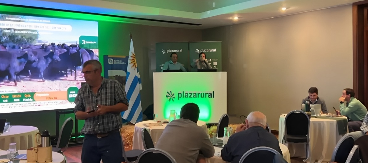 Firmeza y alta colocación en el remate 306 de Plaza Rural