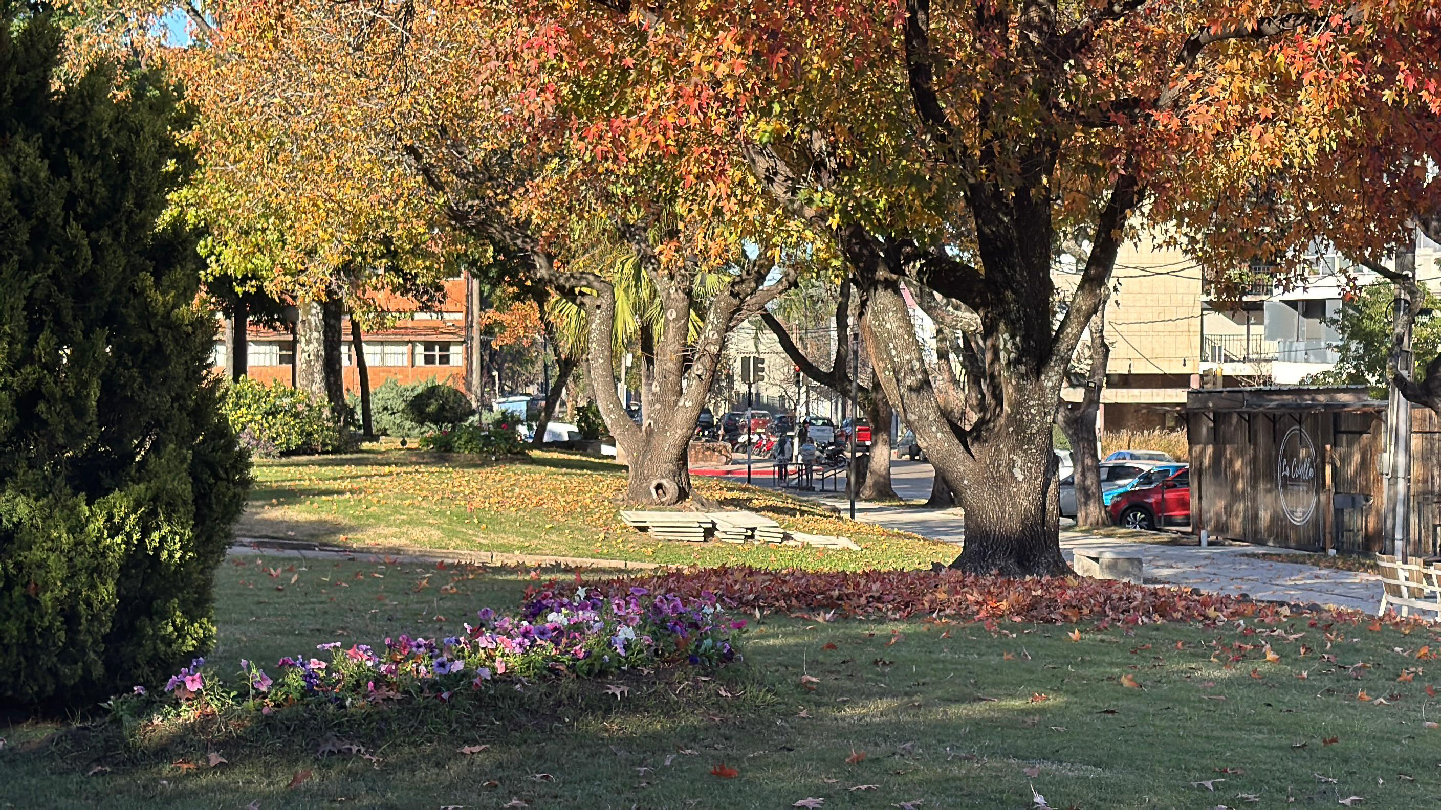 Intendencia acondiciona las plazas de la ciudad y alerta por personas que pernoctan y afectan espacios públicos