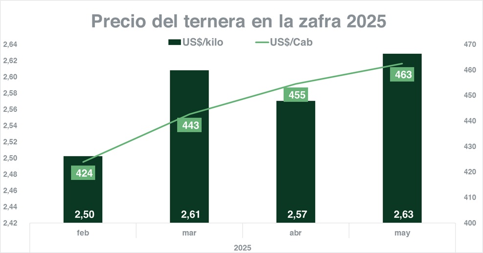 La zafra de terneros y terneras creció 36% en facturación
