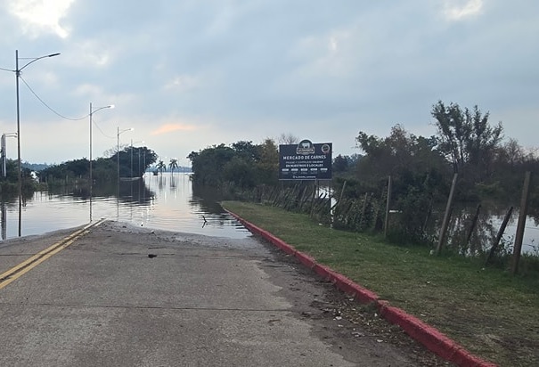 Río comenzó a descender y se ubica en los 8 metros