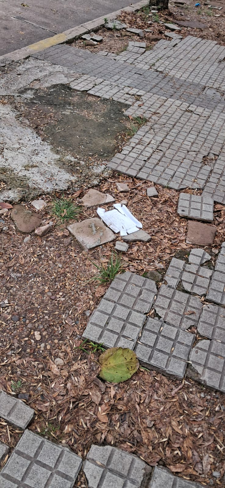 Latidos: Un viejo problema y más…