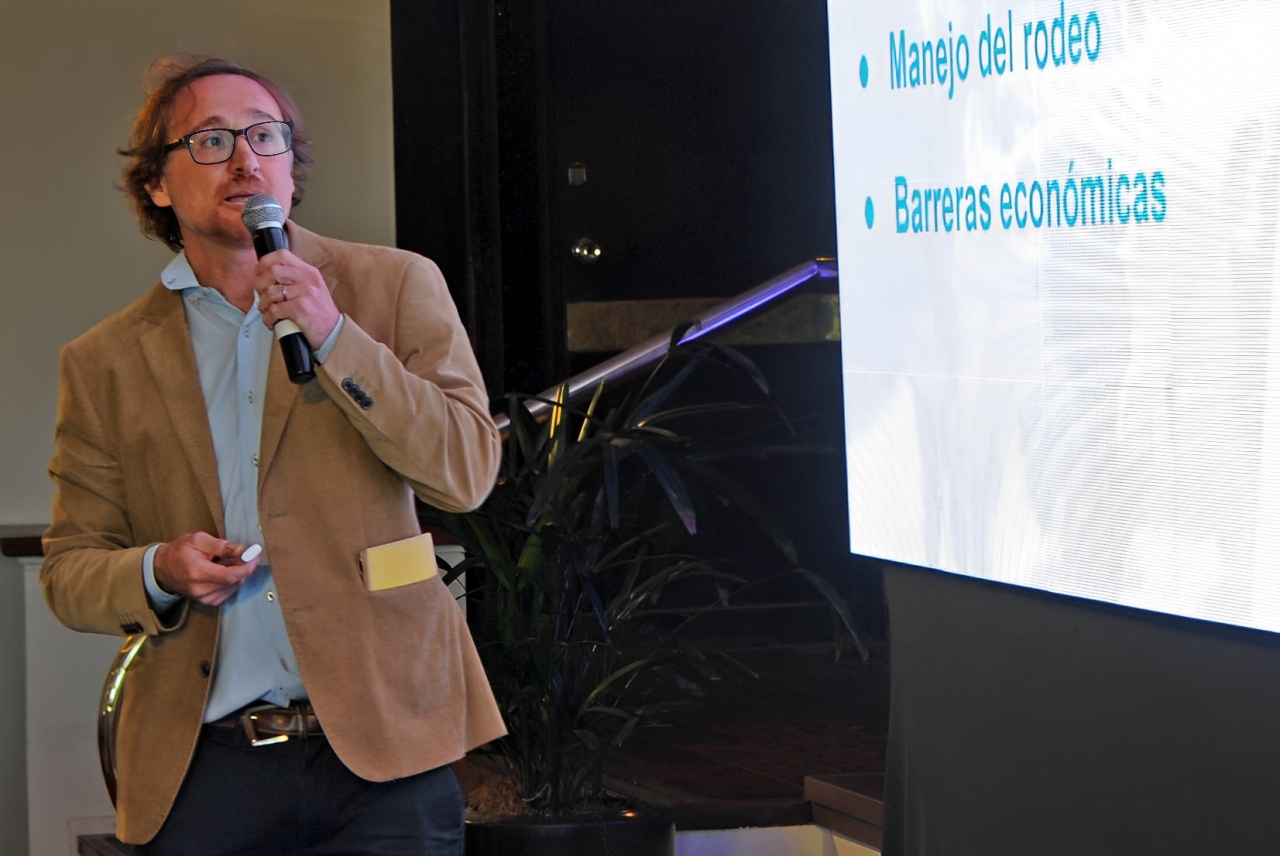 Vacuna uruguaya contra la garrapata avanza con resultados promisorios en campos de Rivera