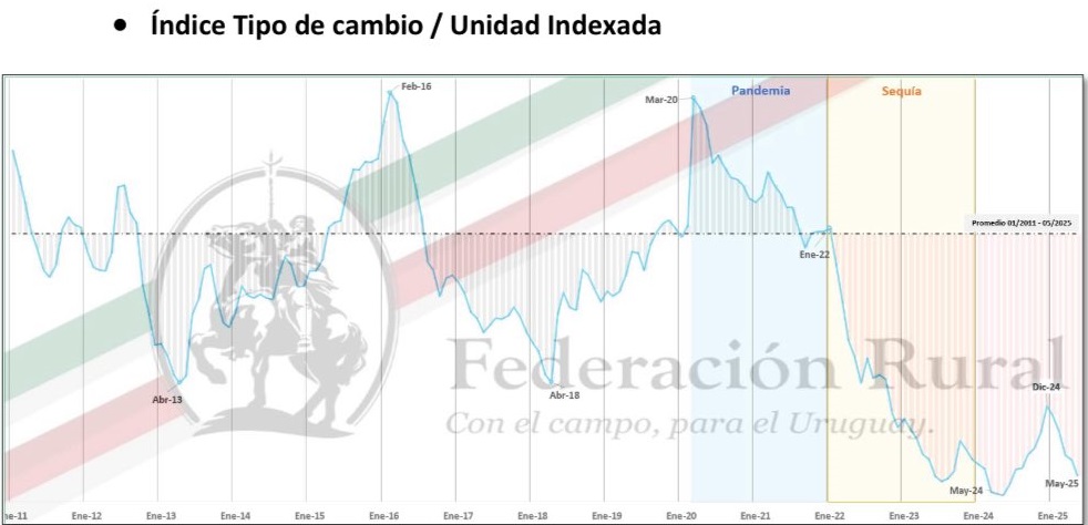 Atraso cambiario genera sobrecosto de US$ 1.000 millones al sector agropecuario