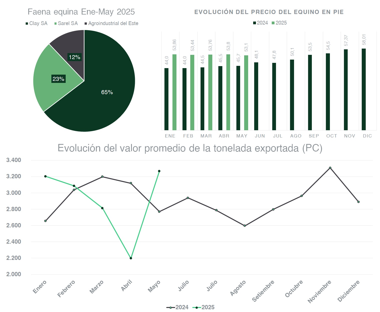 Exportación y faena equina mantienen su crecimiento en 2025