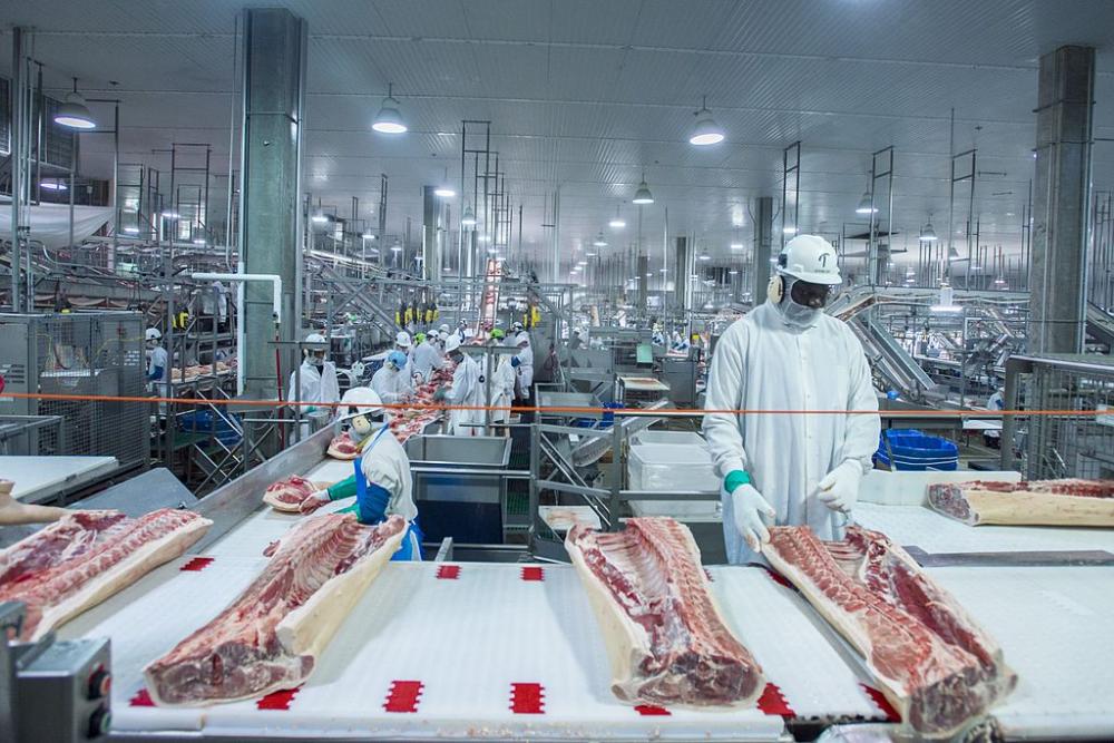 Faena vacuna mantiene ritmo firme y crece 5,2% en 2025