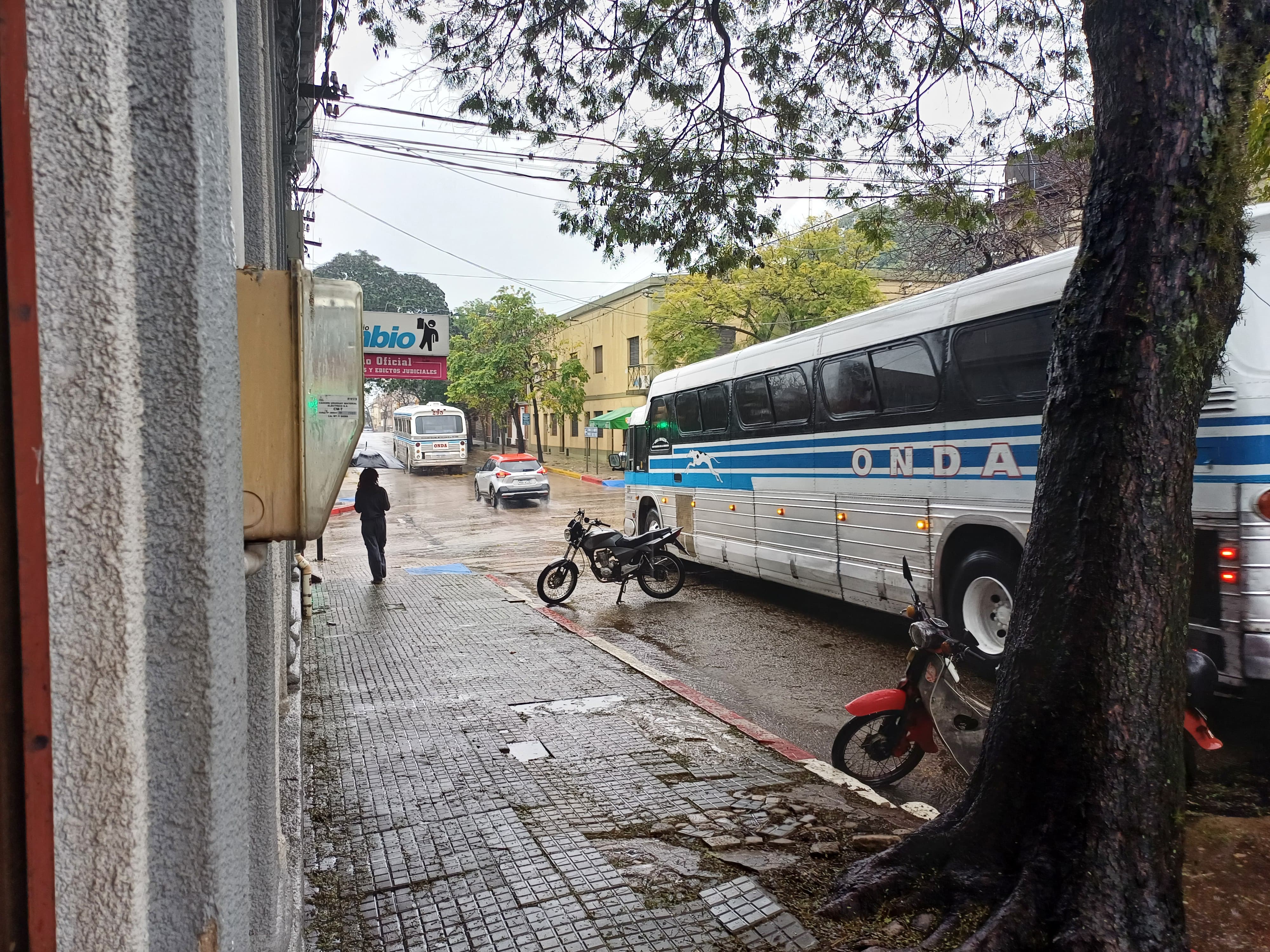 Latidos: Se planta un lagrimón y más…