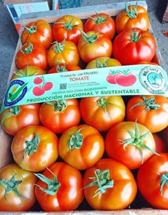 Certificación impulsa horticultura sostenible con bioinsumos