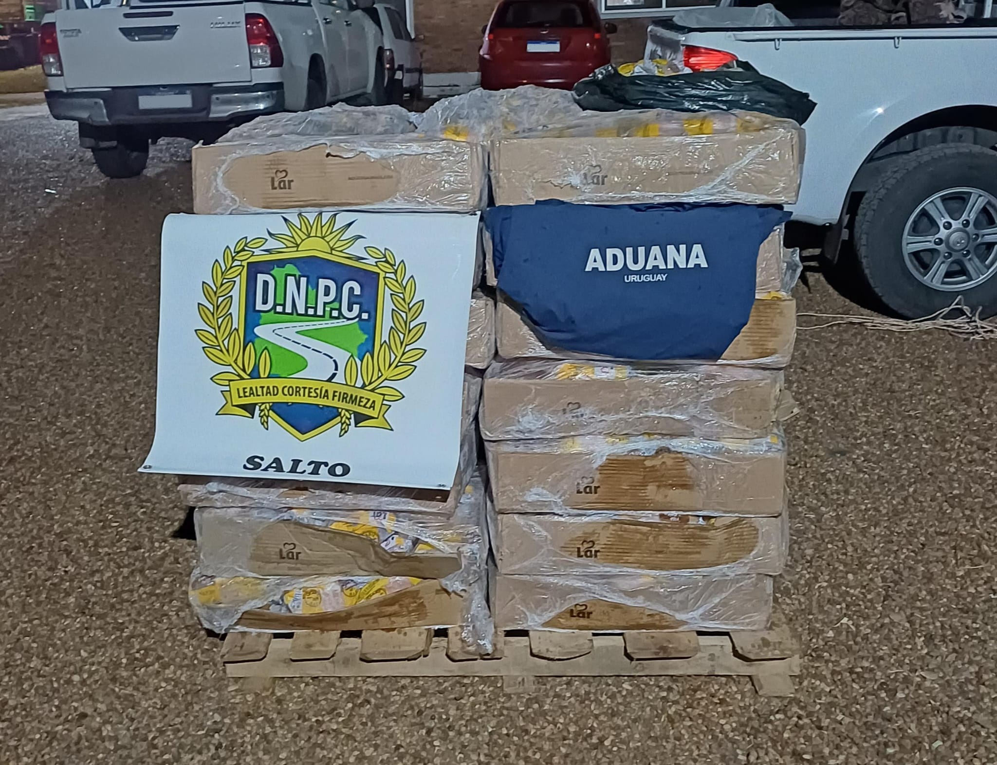 Incautaron 700 kg. contrabando de suprema de pollo y camioneta