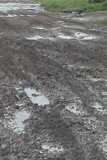 Latidos: Calles de lodo y más…