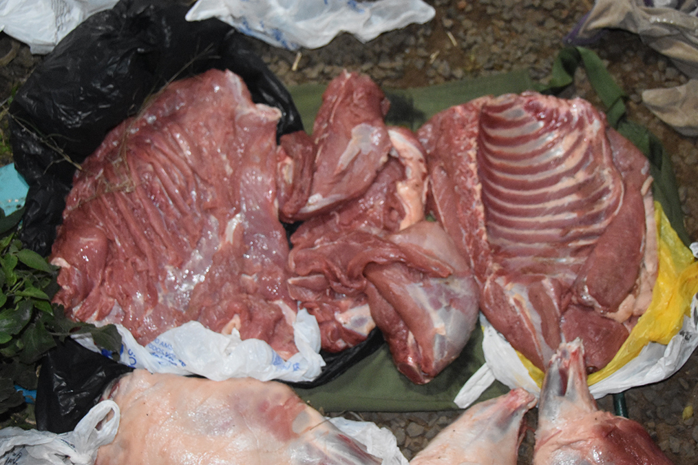 Interceptan vehículo con carne  de carpincho y arma de fuego